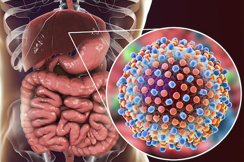 liver-treatment