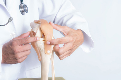 orthopedics